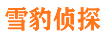 和平寻人公司